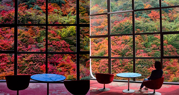 【日本】幽靜溫泉酒店 盡享震撼紅葉美景