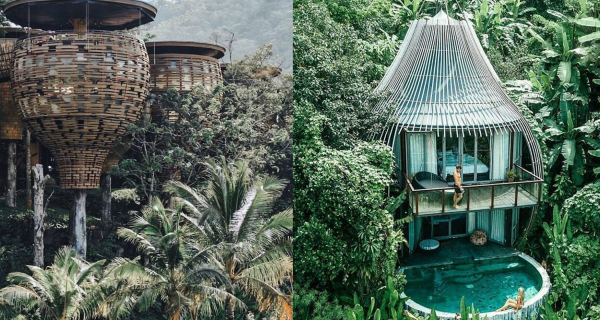 【泰國住宿】布吉樹屋Villa~親臨隱世秘境!