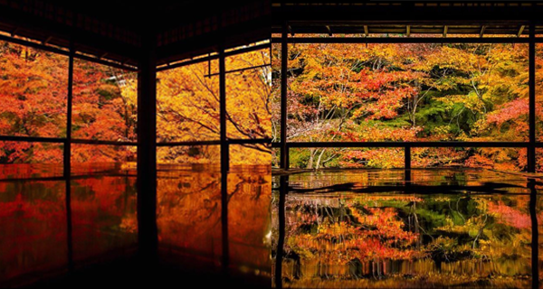 【日本】京都「瑠璃光院」 震撼人心的滿窗紅葉