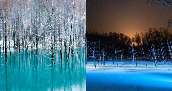 【日本好去處】北海道秘境美瑛青池 夢幻景色如進仙境