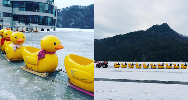 【韓國好去處】超療癒!抱川山井湖黃色鴨仔雪橇