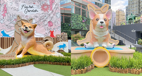 【香港】葵芳必影4米高巨型柴犬，5大汪星人瑜伽打卡位+毛孩好去處