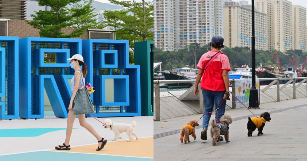【香港】康文署增60個寵物公園！即睇內文名單！部分設海景/大草地！