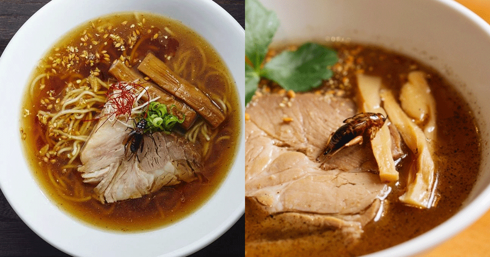 【日本】昆蟲美食又嚟啦!日本蟋蟀拉麵!1碗等如100隻蟋蟀!