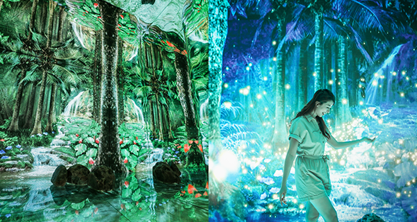 【香港】馬鞍山熱帶雨林體驗館,必打卡1.8米高水獺+光影體驗館