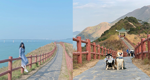 【香港好去處】大澳虎山紅欄徑！新手行山必去！一望無際海景日落！
