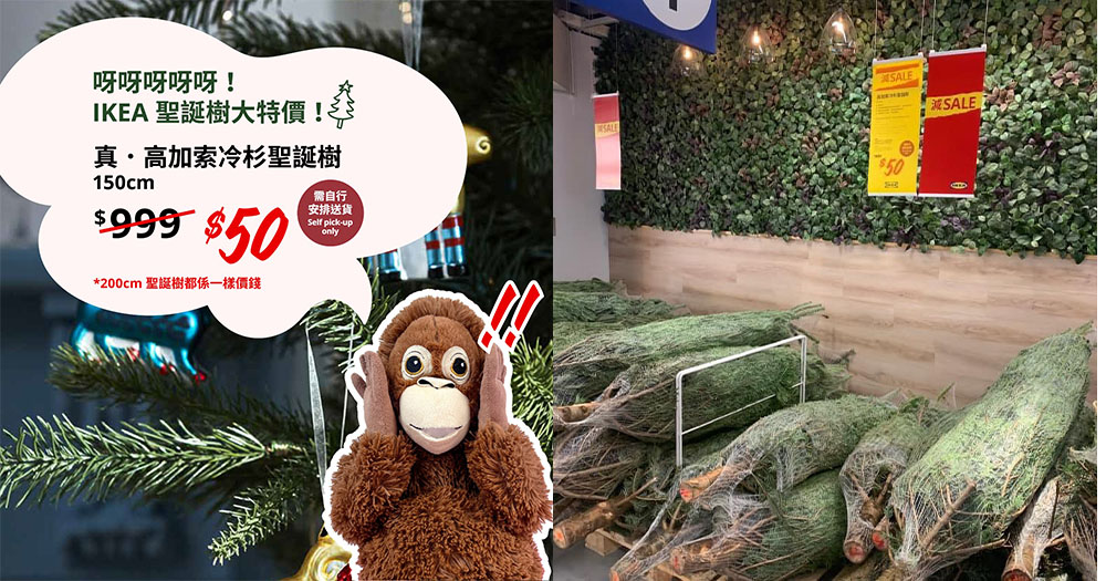 【香港】突發！IKEA真．聖誕樹特價$50！