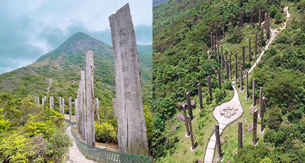 【香港好去處】大嶼山輕鬆行山路線20分鐘到達！最強風水陣心經簡林！