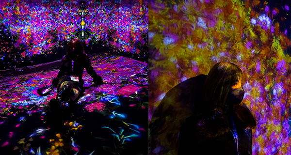 【澳門】澳門互動體驗展覽teamLab,打卡藝術光影+彈跳床宇宙