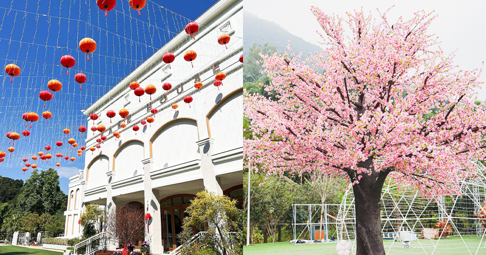 【香港】大埔Lake House 新春打卡主題！ 6米高桃花樹+2萬朵鬱金香後花園+漫天燈籠