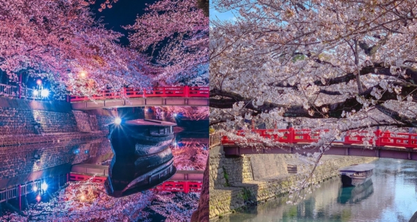 【日本好去處】奧之細道賞櫻秘境！鄰近著名文學景點超有仙氣