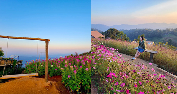 【泰國好去處】清邁湄林高山觀景台，睇日落好去處+打卡鞦韆
