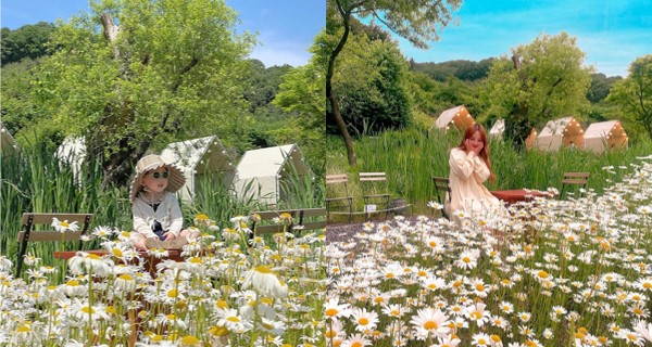 【韓國好去處】夏日限定主題！人氣小雛菊咖啡店 嘆住咖啡好有feel～