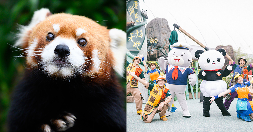 【顧融感謝週】勞工處免費送12000張海洋公園門票！即睇抽獎方法！