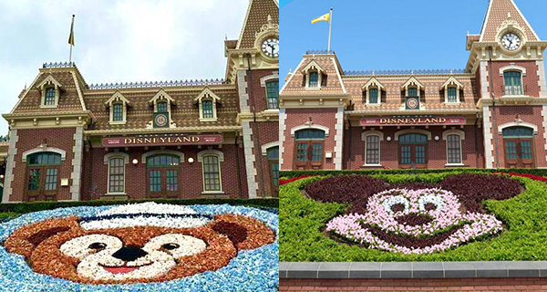 【香港迪士尼樂園】米奇花圃回歸啦!Duffy花圃上位兩個月隱退
