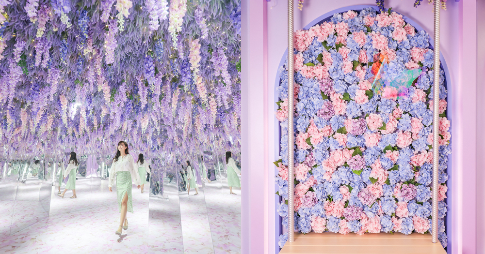 【新蒲崗好去處】Mikiki日本Plantica沉浸式薰衣草花海！8大夢幻打卡位~