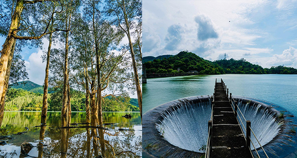 【荃灣好去處】城門水塘打風後限定景象！水浸白千層+圓形排洪漏斗