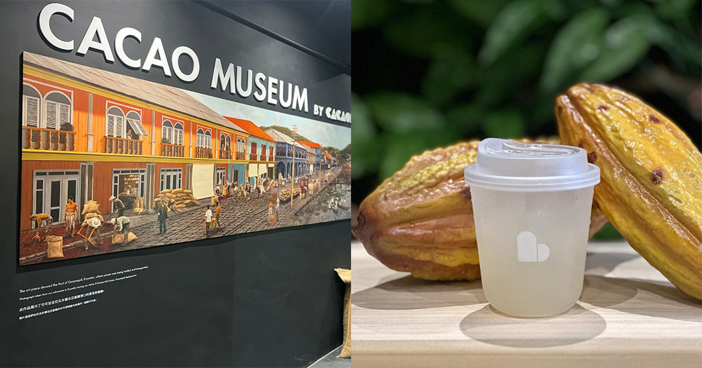 【銅鑼灣好去處】全港首個可可博物館CACAOLAB!手工朱古力+烘焙工坊+特有可可果汁!