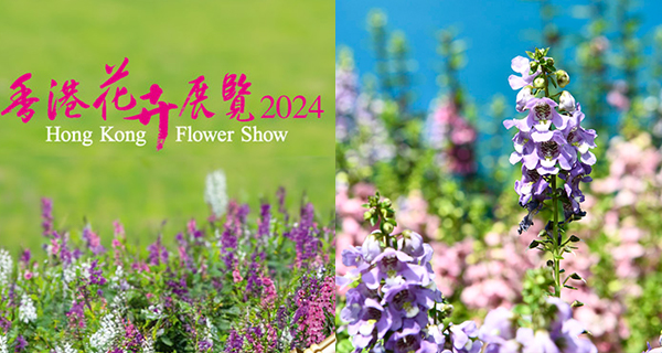 【花展2024】香港花卉展覽2024於維園3月15正式開幕！一連十日舉行+香彩雀為主題花