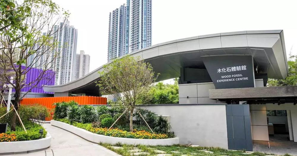 【荃灣好去處】全亞洲首個木化石公園正式開幕！展出逾100件博物館級別木化石