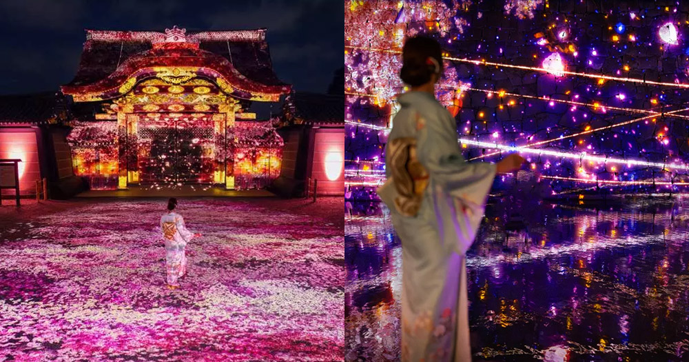 【日本好去處】京都NAKED二條城櫻花祭2025!300株櫻花樹+光雕藝術投影