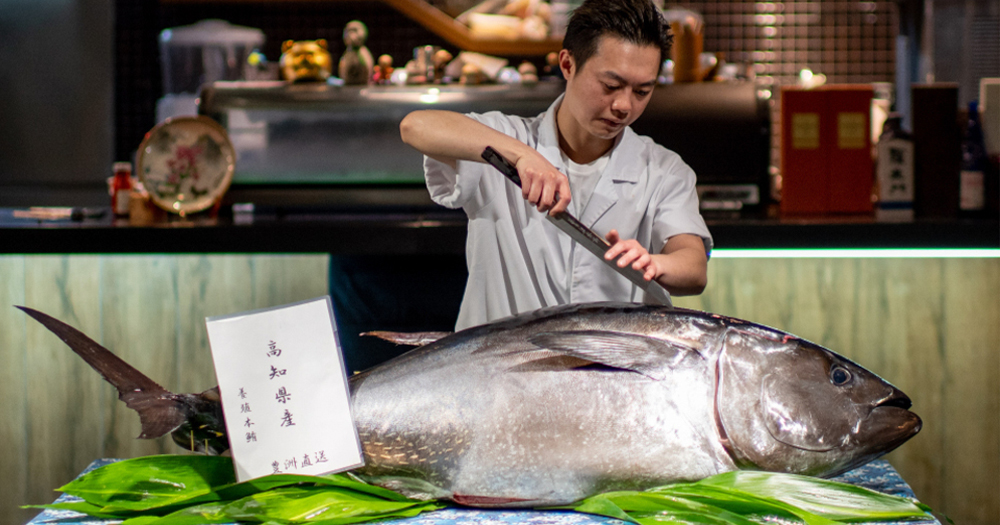 【觀塘美食】居酒屋藍鰭吞拿魚解體宴~必食7大部位+免費追加+即劏即食