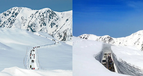 【日本好去處】立山黑部開山啦！4至6月限定+打卡立山黑部雪壁